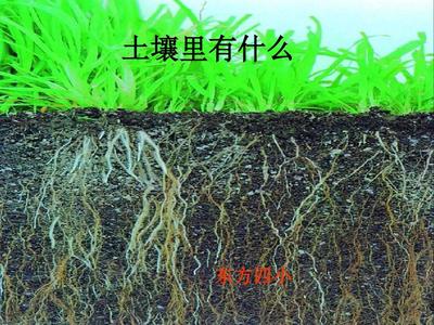 有什么的什么