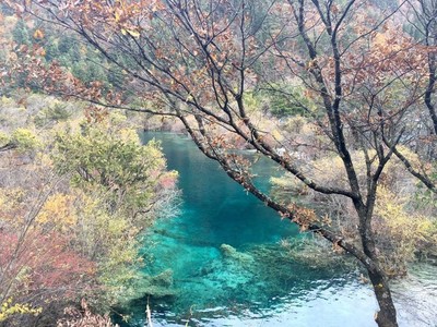怎么從成都去九寨溝