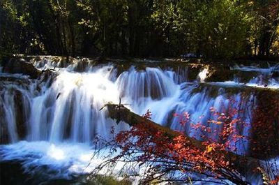 怎么從成都去九寨溝