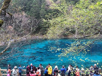 從成都怎么去九寨溝最方便 去成都不去九寨溝