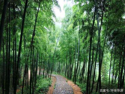 大竹縣旅游景點