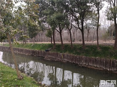 蕪湖附近農(nóng)家樂