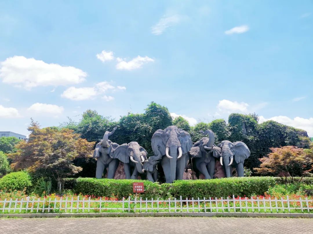 長沙市生態(tài)動物園