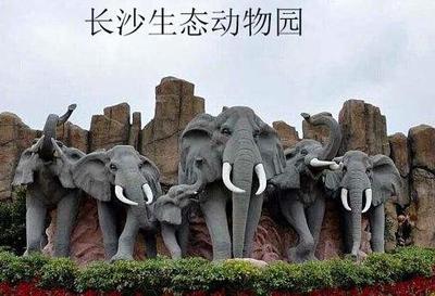 長沙市生態(tài)動物園