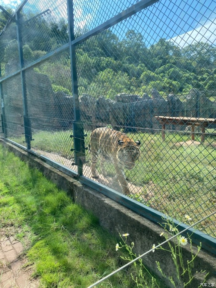 長沙市生態(tài)動物園