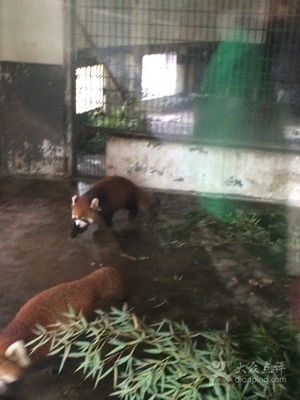 長沙市生態(tài)動物園