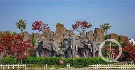 南門口長沙生態(tài)動物園怎么去 到長沙生態(tài)動物園坐什么公交車