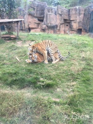 長沙市生態(tài)動物園