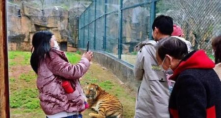 長沙市生態(tài)動物園