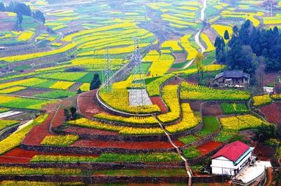 寧強(qiáng)景點(diǎn)排行榜