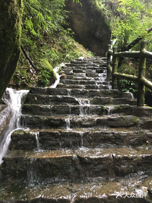 寧強(qiáng)景點(diǎn)排行榜