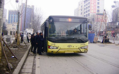 969公交車路線查詢