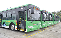 969公交車路線查詢