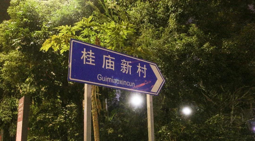 深圳一個人去哪里玩