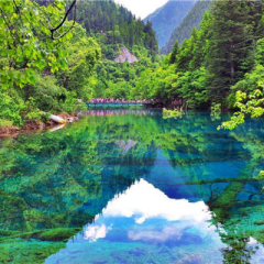 成都怎么去九寨溝