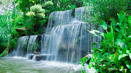 廣州蓮花山門票團購