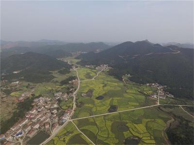 樅陽大山生態(tài)旅游區(qū)
