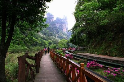 武陵源景區(qū)有哪些景點(diǎn)