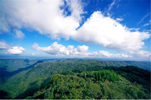 重慶黃水旅游度假區(qū)介紹:山里盛產(chǎn)蘑菇和竹筍